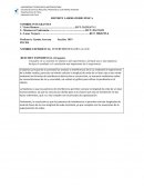 Reporte laboratorio fisica.Óptica