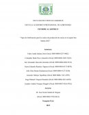 Tipos de fertilización para los suelos de producción de cacao en la región San Martín 2023