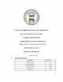 Partes y manejo del microscopio