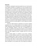 Diseño gráfico en mi localidad