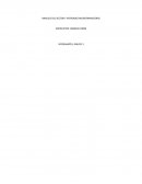 Análisis del sector y entidades microfinancieras