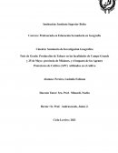 Producción de Tabaco en las localidades de Campo Grande y 25 de Mayo provincia de Misiones