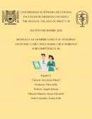 Módulo i: El hombre sano y su entorno