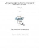 Acompañamiento psicosocial a pacientes adultos con cáncer en su etapa terminal