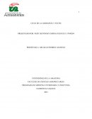 Ciclo de la garrapata y nuche