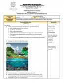 Planeacion Reto cientifico