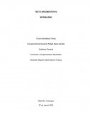 Texto argumentativo Mi realidad