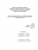 Extracción de miel de abeja en la comunidad de pedraza la vieja municipio Ezequiel Zamora del Estado Barinas