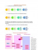 Metabolismo de los carbohidratos