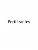 Fertilizantes