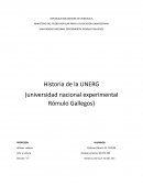 Historia de la UNERG (universidad nacional experimental Rómulo Gallegos)