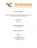 Impacto negativo de los residuos microplásticos en la Playa Naplo del Distrito de Pucusana