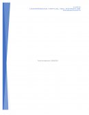 Jugueteria entre cuates. Principios de Fayol