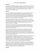 Malformaciones congénitas digestivas