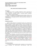 América antes de la llegada de los españoles