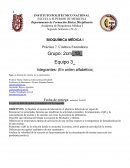 Práctica 7: Cinética Enzimática