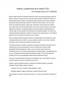 Análisis y perspectivas de la materia TEG I