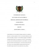 Programa administración de empresas. Análisis crítico