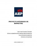Proyecto integrado de marketing