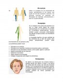Sistema oseo y articular
