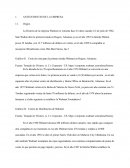 Avance de trabajo final, negocios internacionales