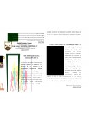 Guia de Educación Física