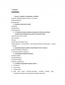 Zuzenbide Prozesaleko Apunteak