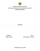 Liderazgo, mejora y centros educativos