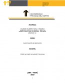 Investigación de mercados, Adidas Perú SAC