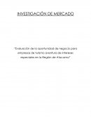 Evaluación de la oportunidad de negocio para empresas de turismo aventura de intereses especiales en la Región de Atacama