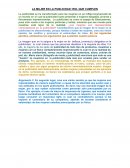 La mujer en la publicidad: rol que cumplen