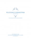 Felicidad clandestina