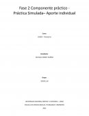 Componente práctico - Práctica Simulada– Aporte individual