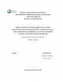 Produccion de cultivos de cebollin con campos organicos en espacios pequeños
