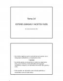 Esteres, grasas y aceites fijos