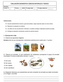 Evaluación diagnóstica ciencias naturales 3° básico