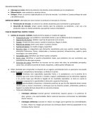 Plan de marketing: Existen 7 pasos