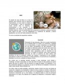 El estudio de caso de Nike