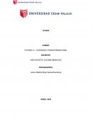 Proyecto de Ayuda a los perritos callejeros de la comunidad de Pongor