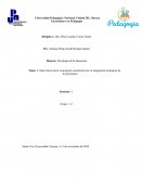 Ideas fuerza de la concepción constructivista: la integración jerárquica de los principios