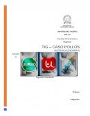 TIG caso Pollos, Microeconomia