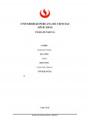 Formato de Perfil de Puesto por Competencias