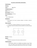 Plan de clases educación física. Lateralidad