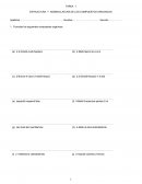 Estructura y nomenclatura de los compuestos orgánicos