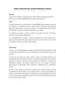 Rabia: infección del sistema nervioso central