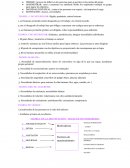 Resumen de capitulo 14 Koontz