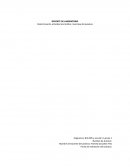 Determinación actividad enzimática: Invertasa de levadura