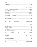 Principios de los derechos humanos