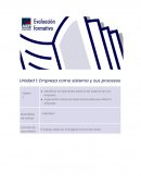 Empresa como sistema y sus procesos . Remolques Cardú