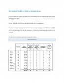 Indices estadisticos